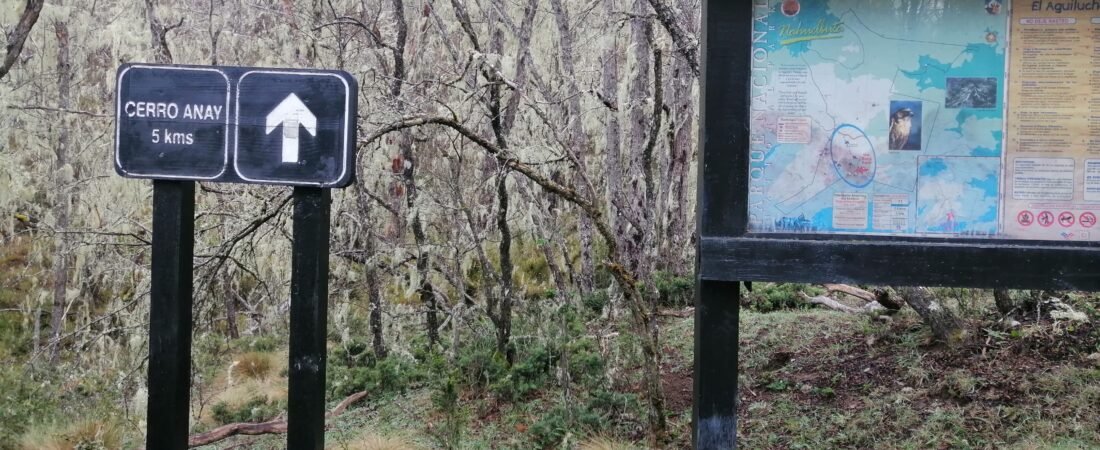 TRAVESIA PARQUE NACIONAL NAHUELBUTA