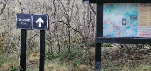 TRAVESIA PARQUE NACIONAL NAHUELBUTA